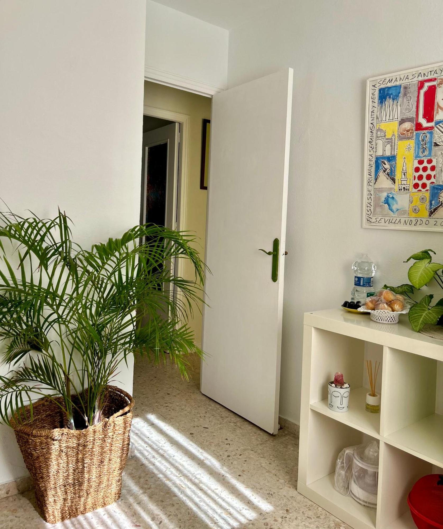 Arco Macarena Apartment เซบีญา ภายนอก รูปภาพ